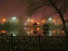 Mellat Park at Night
