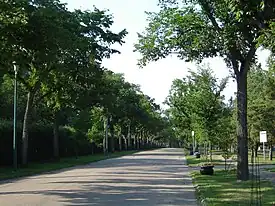 The Next of Kin Memorial Avenue at Woodlawn Cemetery Saskatoon