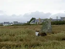Ancient menhir at Treffiagat