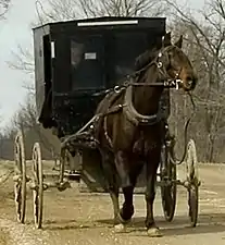 Old Order Mennonite buggy in Oxford County, Ontario