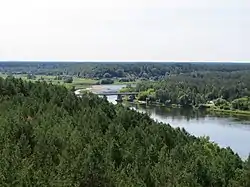 Nemunas River nearby Merkinė