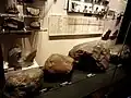 Meteorites fell in Japan