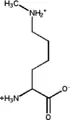 Monomethylated: 6-N-methyllysine