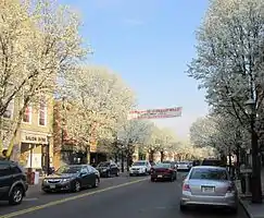 Main Street in downtown Metuchen, which won the honor of Great American Main Street of the Year in 2023
