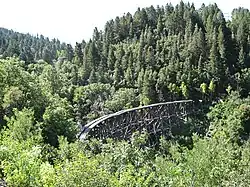  A broken trackless trestle rises up and over the green treetops of a small mountain canyon.