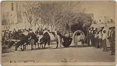 Mexican carreta in El Paso, Texas, circa 1885. Photo courtesy SMU