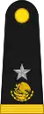 General brigadier(Mexican Army)