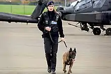 An officer from the MOD Guard Service's Dog Section patrolling near helicopters.