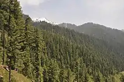 Miandam, Swat Valley