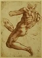 Study of naked man, by Michelangelo