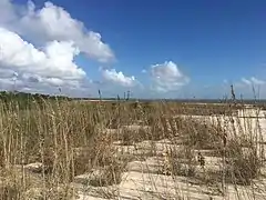 Middle Cape Sable 1/1/2019