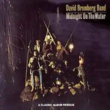 David Bromberg and some other musicians, photographed at night near a body of water