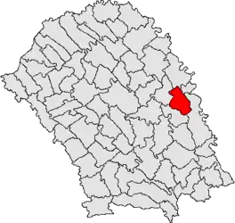 Location in Botoșani County