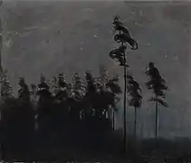 Forest (1907)