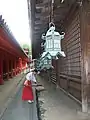 A miko at Kasuga Shrine