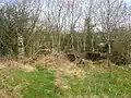 The cottage from the Sourlie branch trackbed