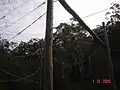 Milson Island high ropes challenge