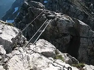 Ladder bridge at the summit