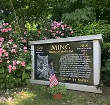 Resting place of Ming