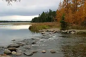 Headwaters of the Mississippi River at Itasca State Park.