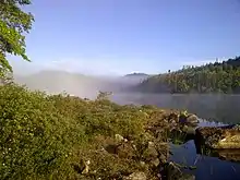 The fog gradually lifts over a lake with a forested shore in the early morning sun.
