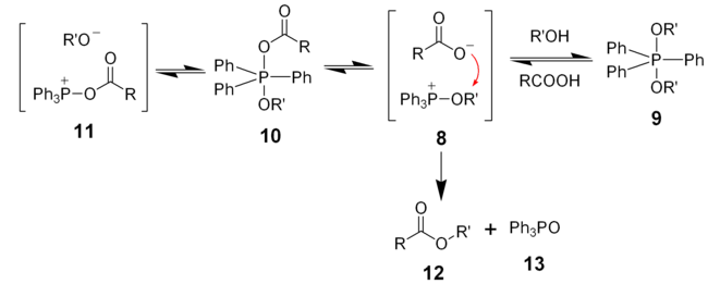 The latter stages of the mechanism proposed for the Mitsunobu reaction.