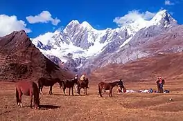 Mitucocha camp and Jirishanca (6094 m)