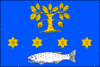 Flag of Mladé Buky