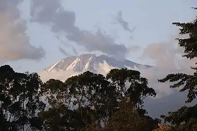 The Mount Kilimanjaro