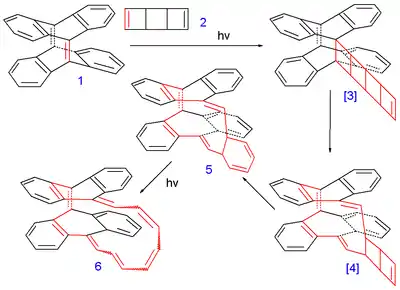 Synthesis of a Mobius ring