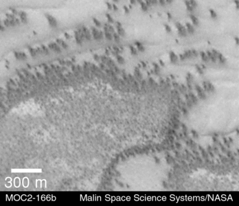 Dark dune spots on Mars, taken by the Mars Global Surveyor on August 10, 1999.