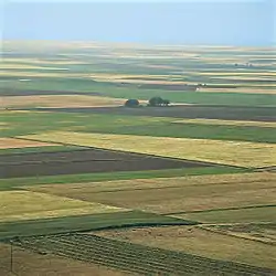 Sown fields in an open field system of farming