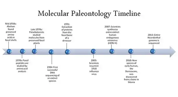 A visual graphic of the events listed in the timeline section.