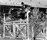 Roberto Moll jumping a fence on a horse