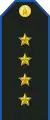 Service uniform shoulder board (Captain)