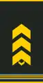 Uniform shirt shoulder board (Senior sergeant)