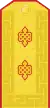 Mongolian Army-Lieutenant general-parade 1990-1998