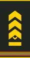 Mongolian Army-MSG-shirt