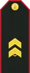 Mongolian Army-SGT-service