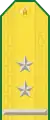 Parade uniform shoulder board (Lieutenant colonel)