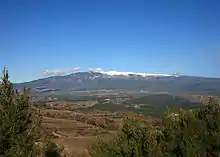 Forested mountain, with white peak