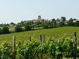 A general view of Montagnac-sur-Auvignon