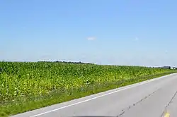 Cornfield southeast of Ottoville