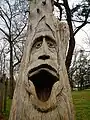 Tim Tingle's carving of a man's face in the trees at Orr Park.