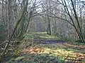 The old carriageway looking towards Caven Mill.