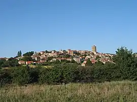 A general view of Montpeyroux