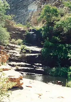 Boys playing in a stream in Moremi Gorge