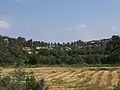 View of Moshav from Wadi Tannur