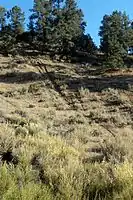 Negative environmental effects caused by a motorcycle to a portion of the Los Padres National Forest