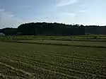 Motosakura Castle Site